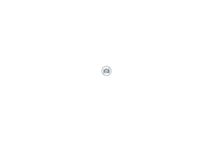 bug